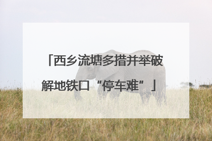 西乡流塘多措并举破解地铁口“停车难”