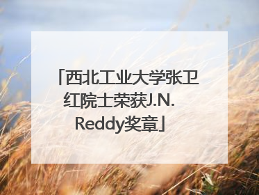 西北工业大学张卫红院士荣获J.N.Reddy奖章