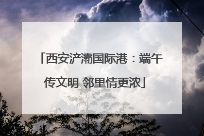 西安浐灞国际港：端午传文明 邻里情更浓