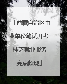 西藏自治区事业单位笔试开考 林芝就业服务亮点频现