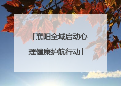 襄阳全域启动心理健康护航行动