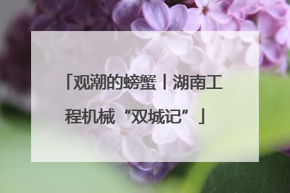 观潮的螃蟹丨湖南工程机械“双城记”