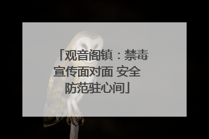 观音阁镇：禁毒宣传面对面 安全防范驻心间