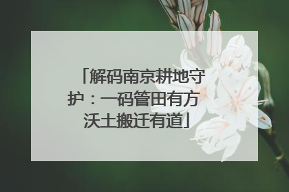 解码南京耕地守护：一码管田有方 沃土搬迁有道