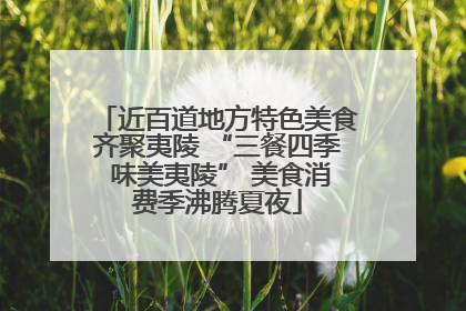 近百道地方特色美食齐聚夷陵 “三餐四季 味美夷陵” 美食消费季沸腾夏夜