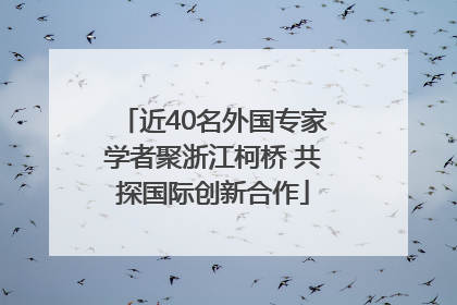 近40名外国专家学者聚浙江柯桥 共探国际创新合作