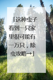 这种虫子看到一只家里很可能有一万只，除虫攻略→