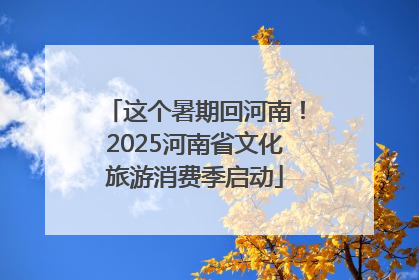 这个暑期回河南！2025河南省文化旅游消费季启动