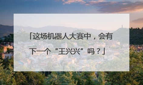 这场机器人大赛中，会有下一个“王兴兴”吗？