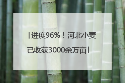 进度96%！河北小麦已收获3000余万亩