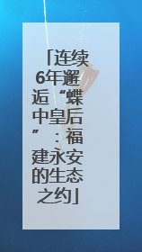 连续6年邂逅“蝶中皇后”：福建永安的生态之约