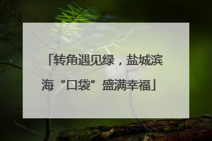 转角遇见绿，盐城滨海“口袋”盛满幸福