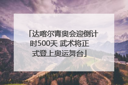达喀尔青奥会迎倒计时500天 武术将正式登上奥运舞台