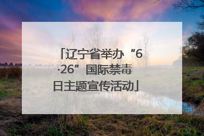 辽宁省举办“6·26”国际禁毒日主题宣传活动