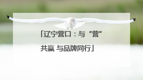 辽宁营口：与“营”共赢 与品牌同行