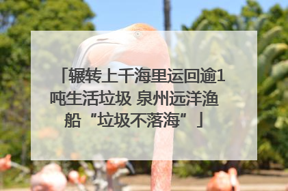 辗转上千海里运回逾1吨生活垃圾 泉州远洋渔船“垃圾不落海”