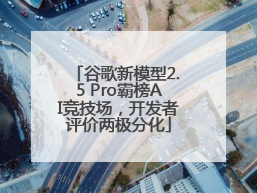 谷歌新模型2.5 Pro霸榜AI竞技场，开发者评价两极分化
