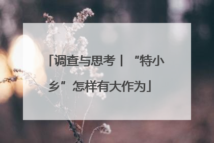 调查与思考丨“特小乡”怎样有大作为