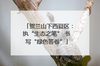贺兰山下西夏区：执“生态之笔” 书写“绿色答卷”