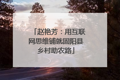 赵艳芳：用互联网思维铺就固阳县乡村助农路