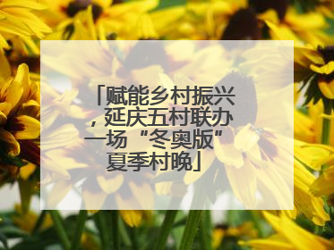 赋能乡村振兴，延庆五村联办一场“冬奥版”夏季村晚