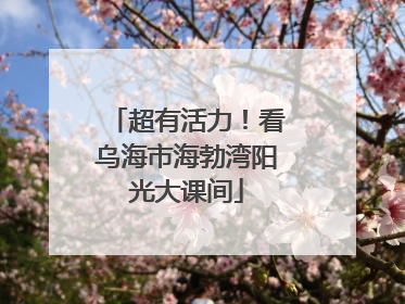 超有活力！看乌海市海勃湾阳光大课间