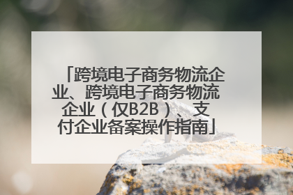 跨境电子商务物流企业、跨境电子商务物流企业（仅B2B）、支付企业备案操作指南