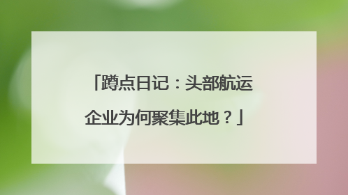 蹲点日记：头部航运企业为何聚集此地？