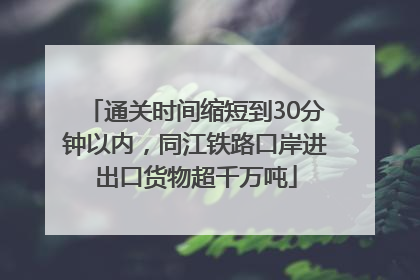 通关时间缩短到30分钟以内，同江铁路口岸进出口货物超千万吨
