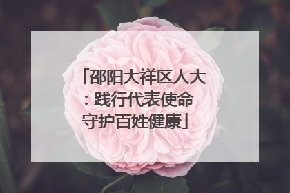 邵阳大祥区人大：践行代表使命 守护百姓健康