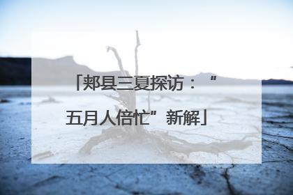郏县三夏探访：“五月人倍忙”新解