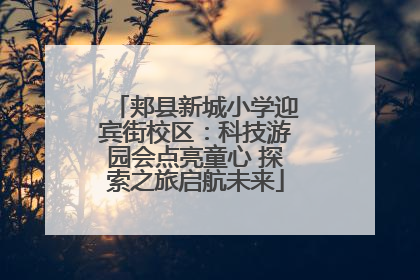 郏县新城小学迎宾街校区：科技游园会点亮童心 探索之旅启航未来
