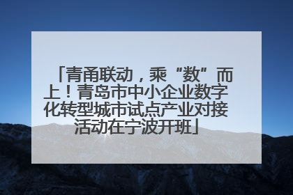 青甬联动，乘“数”而上！青岛市中小企业数字化转型城市试点产业对接活动在宁波开班