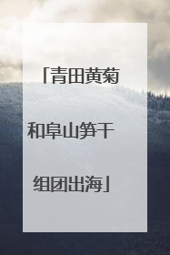 青田黄菊和阜山笋干组团出海