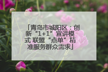青岛市城阳区：创新“1+1”宣讲模式 联盟“点单”精准服务群众需求