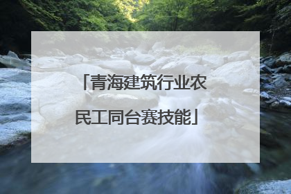 青海建筑行业农民工同台赛技能