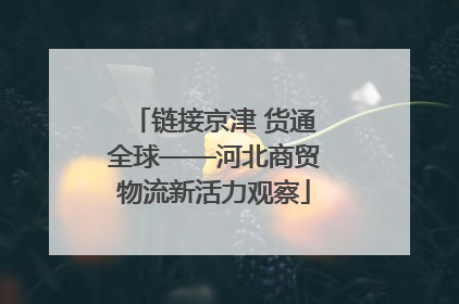 链接京津 货通全球——河北商贸物流新活力观察