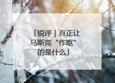 锐评｜真正让马斯克“作呕”的是什么