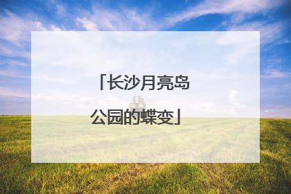 长沙月亮岛公园的蝶变