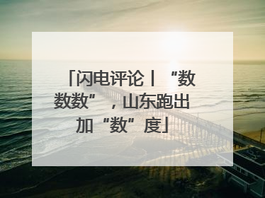 闪电评论丨“数数数”，山东跑出加“数”度