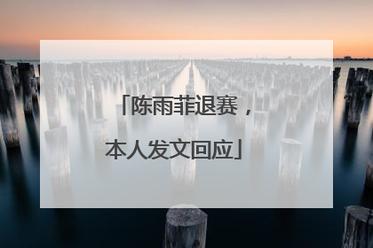陈雨菲退赛，本人发文回应
