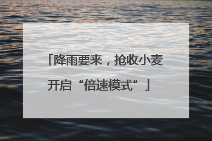 降雨要来，抢收小麦开启“倍速模式”