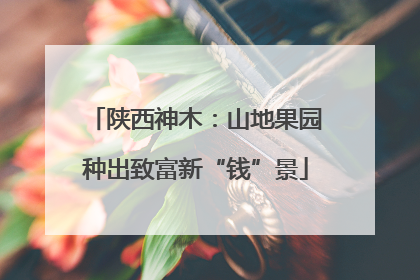 陕西神木：山地果园种出致富新“钱”景