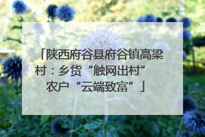 陕西府谷县府谷镇高梁村：乡货“触网出村” 农户“云端致富”