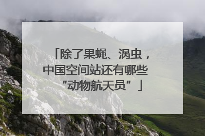 除了果蝇、涡虫，中国空间站还有哪些“动物航天员”