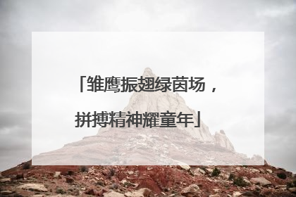 雏鹰振翅绿茵场，拼搏精神耀童年
