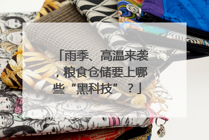 雨季、高温来袭，粮食仓储要上哪些“黑科技”？