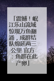 震撼！岷江乐山流域惊现万鱼翻涌，成群结队绵延两三公里 官方：鱼群在此产卵