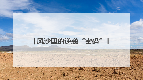 风沙里的逆袭“密码”