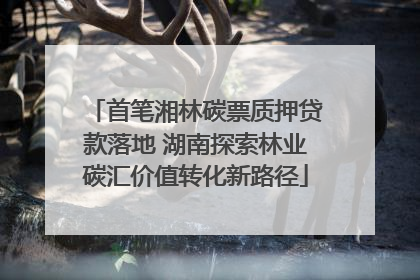 首笔湘林碳票质押贷款落地 湖南探索林业碳汇价值转化新路径